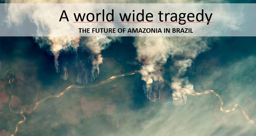 Save Amazonia