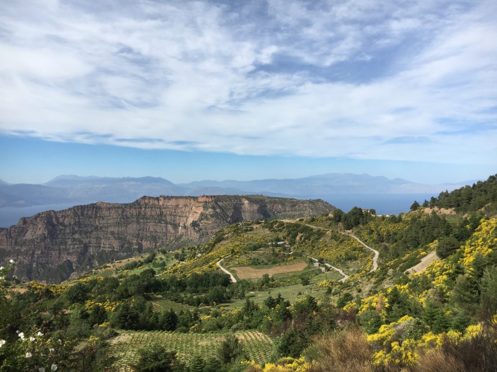 A wide-angle photo of the Pelopennese landscape, showing small farm fields surrounded by trees and flowers in the foreground, and mountains in the background.